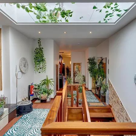 Hostel Garden In Town