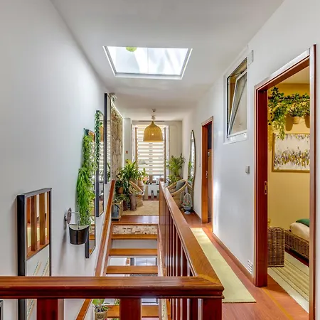 Hostel Garden In Town