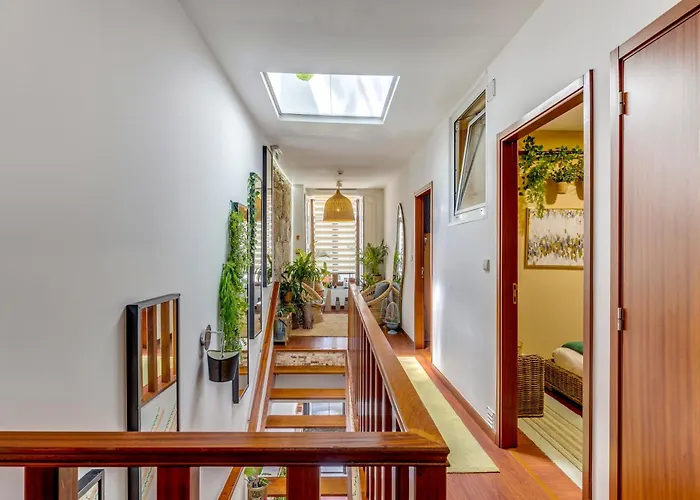 Hostel Garden In Town